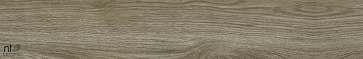 Керамический гранит Wood Forest mat матовый NTT92306M 200x1200 (NT Ceramic)