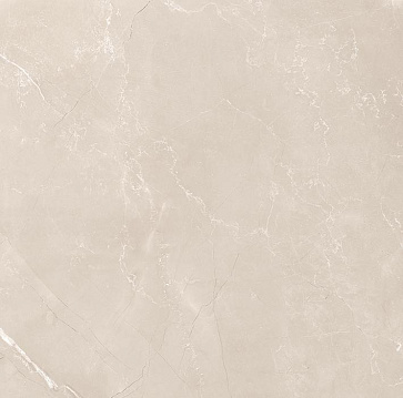 Керамический гранит Витрум Тауп / Vitrum Taupe 60x60 матовый (Laparet)