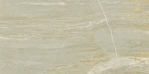 Керамический гранит Palissandro Gold AA120701P (Age Art)
