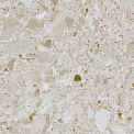 Керамический гранит Pietra Di Gre Crema 600x600 (Pamesa Ceramica)