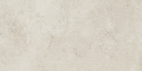 Керамический гранит Eden Light Satin N12049 600x1200 (Neodom)