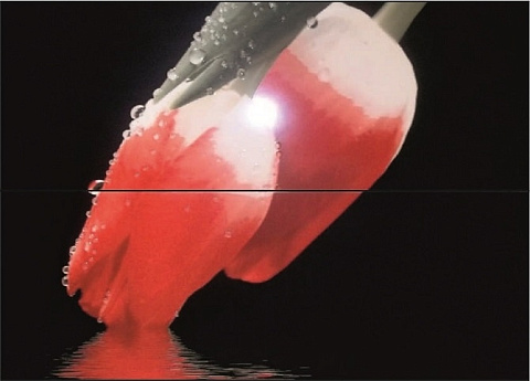 Декор SOLEIL LEVANT TULIP Red (MAPISA)