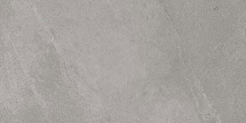 Керамический гранит Про Матрикс серый обрезной DD201900R (Kerama Marazzi)