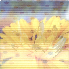 122