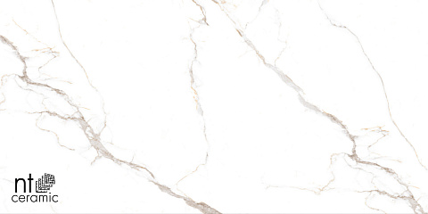 Керамический гранит Bright and Shiny Barbara White mat NTT9122M 600x1200 (NT Ceramic)