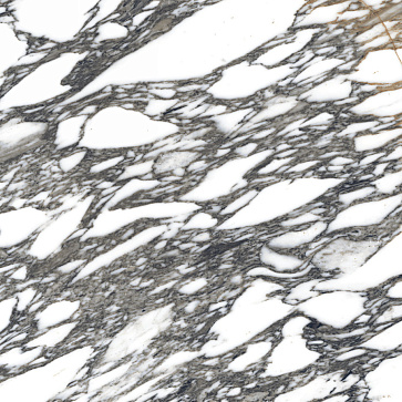 Керамический гранит Marvel Grey Polished CV20246 600x600 (Neodom)