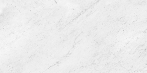 Керамический гранит Classic Marble Carrara Antique Polished N12033 600x1200 (Neodom)