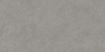 Керамический гранит ARGILLITE Stonewall Dust Punch Granulla NTT99620PG 600x1200 (NT Ceramic)