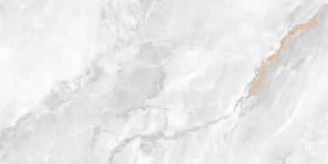 Керамический гранит Marble Ornato Wave Polished N20534 600x1200 (Neodom)