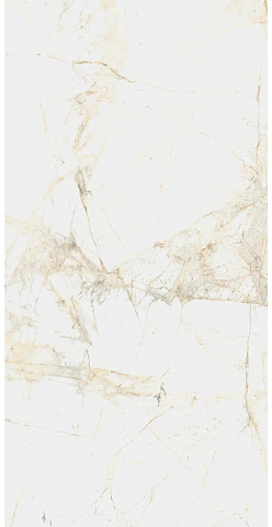 Керамический гранит CANOVA White 610010005765 600x1200 (COLISEUMGRES)