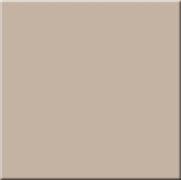 Керамический гранит RAINBOW RW 041 60x60 неполированный (ESTIMA Ceramica)