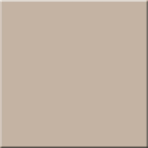 Керамический гранит RAINBOW RW 041 60x60 неполированный (ESTIMA Ceramica)
