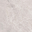 Керамический гранит Шелл бежевый КГ 01 / Shell beige PG 01  010400001459 600х600 (Gracia Ceramica)