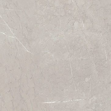 Керамический гранит Эбри Серый / Ebri Gris 600x600 (AZORI)
