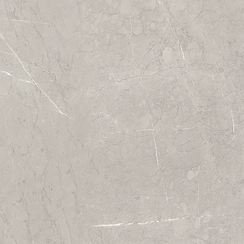 Керамический гранит Эбри Серый / Ebri Gris 600x600 (AZORI)
