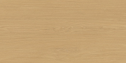 Керамический гранит Киото медовый матовый LP6012G0771R8 595x1191 (Laparet)
