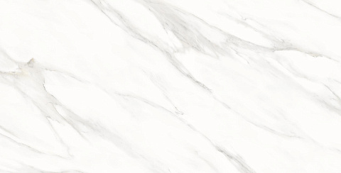 Керамический гранит Whites Statuario Shine 60x120 (Creatile)