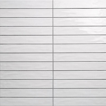 Плитка настенная SIDNEY Shell PT03714 50x300 (Mainzu Ceramica)