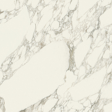 Керамический гранит Charme Deluxe Floor Project Arabescato White 80x80 Lux Rett (Italon)