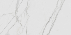 Керамический гранит PALLISANDRO / ПАЛЛИСАНДРО Гриджио ID9086b089MR 600x1200 (IDALGO)