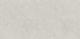 Керамический гранит Concept Liberty Grey Matt N110007 600x1200 (Neodom)