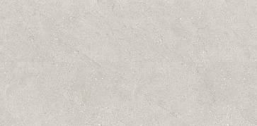 Керамический гранит Concept Liberty Grey Matt N110007 600x1200 (Neodom)