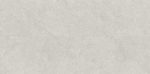 Керамический гранит Concept Liberty Grey Matt N110007 600x1200 (Neodom)