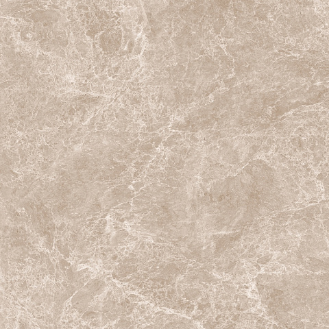 Керамический гранит Emperador Taupe Polished N20461 1200x1200 (Neodom)
