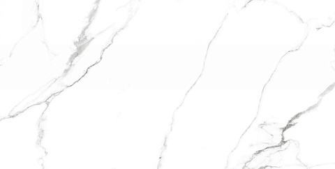 Керамический гранит Splendida Mckinley Polished CV20222 600x1200 (Neodom)