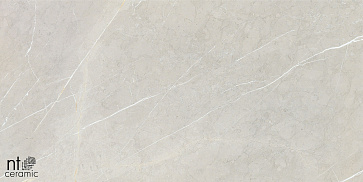 Керамический гранит Bright and Shiny BB612NTT9101P 600x1200 (NT Ceramic)