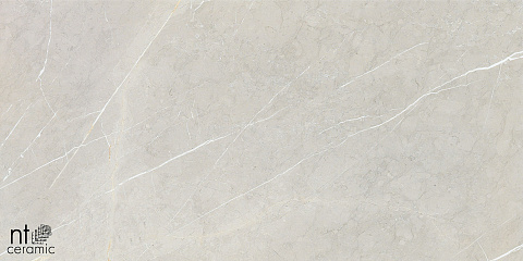 Керамический гранит Bright and Shiny BB612NTT9101P 600x1200 (NT Ceramic)