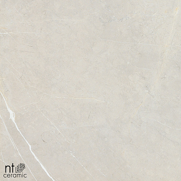 Керамический гранит Bright and Shiny BB6NTT9101P 600x600 (NT Ceramic)