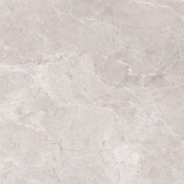 Керамический гранит Шелл бежевый КГ 01 / Shell beige PG 01  010400001459 600х600 (Gracia Ceramica)