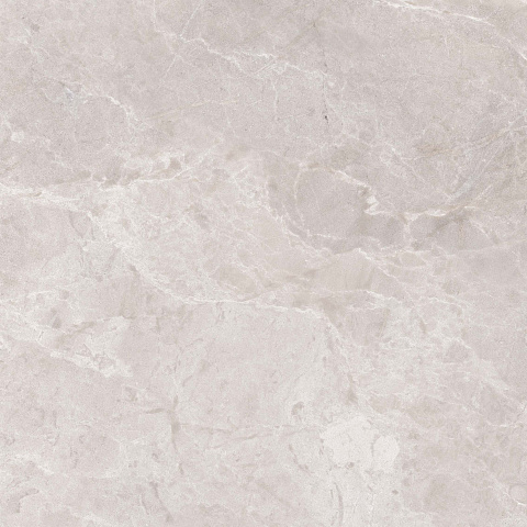 Керамический гранит Шелл бежевый КГ 01 / Shell beige PG 01  010400001459 600х600 (Gracia Ceramica)
