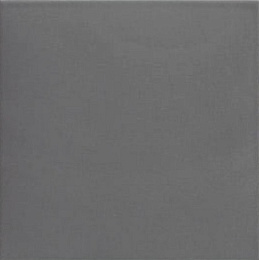 Керамический гранит Tech-steel 200x200 (MAINZU Ceramica)