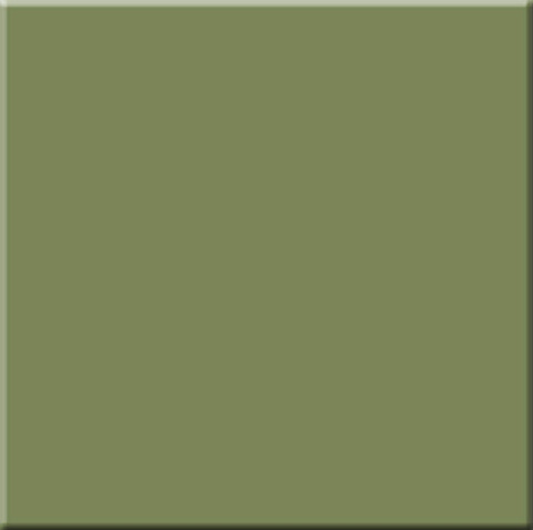 Керамический гранит RAINBOW RW 06 60x60 неполированный (ESTIMA Ceramica)