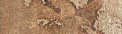 Плитка настенная Айдахо 4 65x245 (Керамин)