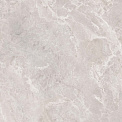 Керамический гранит Шелл бежевый КГ 01 / Shell beige PG 01  010400001459 600х600 (Gracia Ceramica)