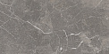 Керамический гранит Pamir серый темный A17781 450x900 (Cersanit)