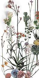 Керамический гранит PAPER41 LUX FRANZ 600x1200 4100716 (41Zero42)