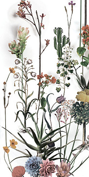 Керамический гранит PAPER41 LUX FRANZ 600x1200 4100716 (41Zero42)