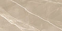 Керамический гранит Эссеншл каштановый / Essential Marron полированный 60120ESE21P 600x1200 (New Trend)