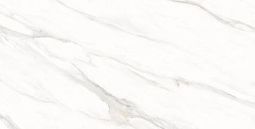 Керамический гранит Whites Statuario Shine Matt 60x120 (Creatile)