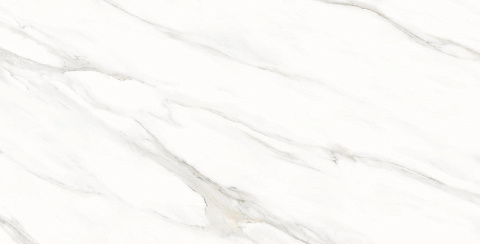 Керамический гранит Whites Statuario Shine Matt 60x120 (Creatile)