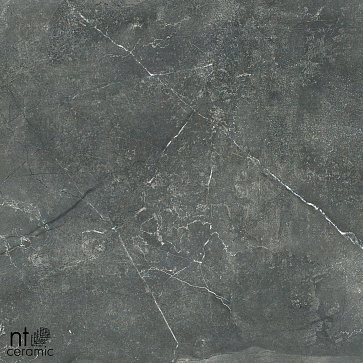 Керамический гранит NTT9023 лаппатированный NS6NTT9023L 600x600 (NT Ceramic)