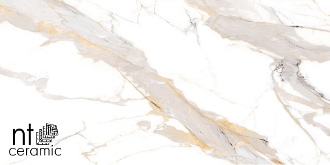 Керамический гранит Bright and Shiny Calacatta Light Grey mat NTT9120M 600x1200 (NT Ceramic)