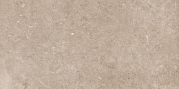 Керамический гранит Pariso Tobacco Matt N12050 600x1200 (Neodom)