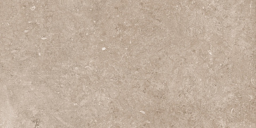 Керамический гранит Pariso Tobacco Matt N12050 600x1200 (Neodom)