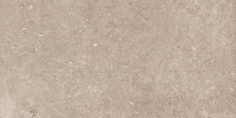 Керамический гранит Pariso Tobacco Matt N12050 600x1200 (Neodom)