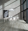 Керамический гранит Planks Grigio AA21202W (Age Art)